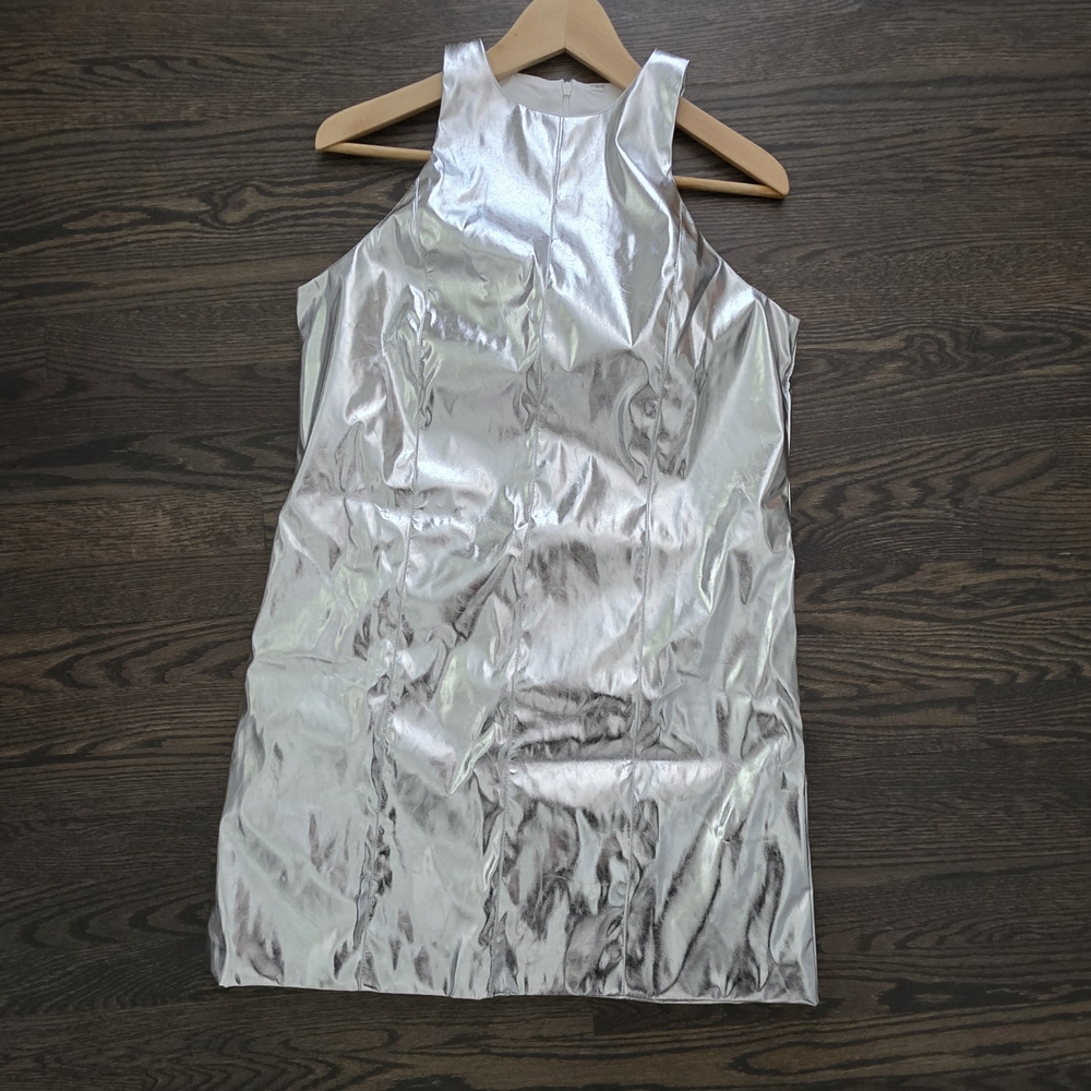Silver Sleeveless Women's Dress